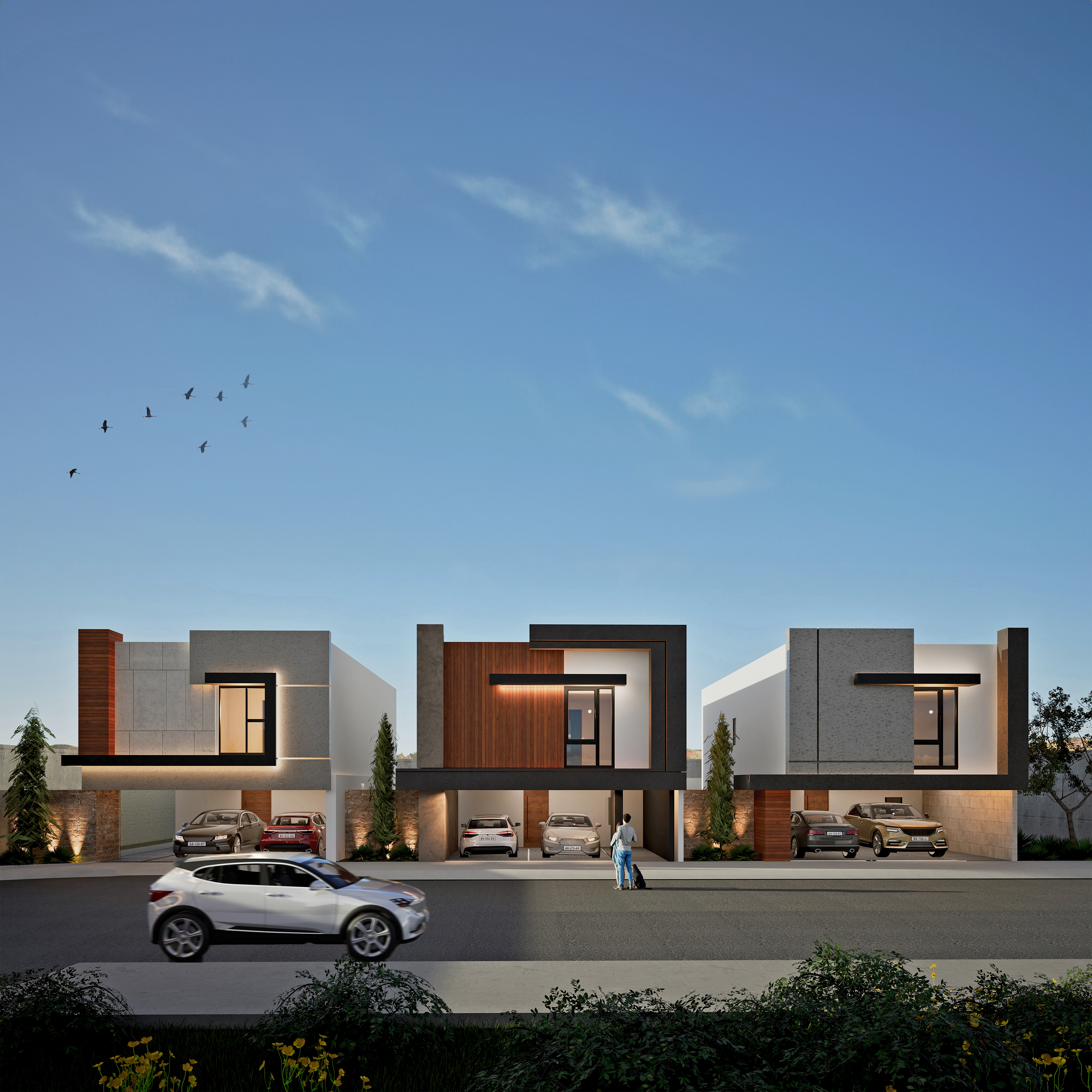 Proyecto 5 Residencias 